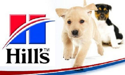 Hills pet. Hills логотип. Hills корм логотип. Хиллс баннер. Hills корм для кошек логотип.