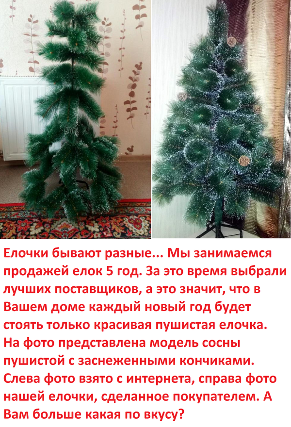 какие елки бывают в нашем городе. бывают елки. включи картинки какие бывают елки. песня игра ёлочки бывают разные. елочка какая прилагательные.