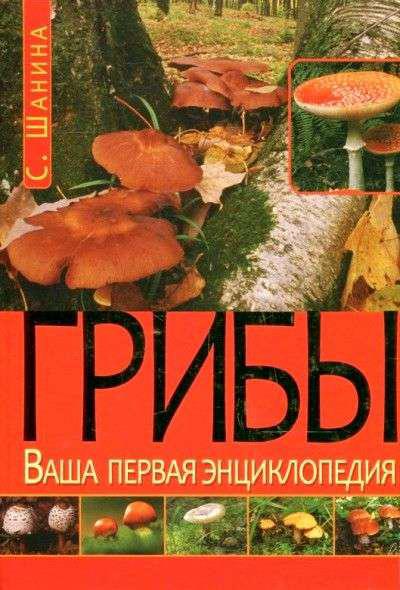 грибы книги биология. грибы. грибы книги биология. биология 6 класс трайтак. грибы книги биология.
