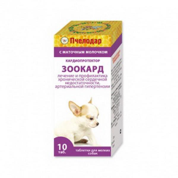 Сердечная недостаточность у собак симптомы. Препараты от кашля для собак. Зоокард для мелких собак таблетки. Сердечный кашель у собак маленьких. Таблетки от кашля для собаки при сердечной недостаточности.