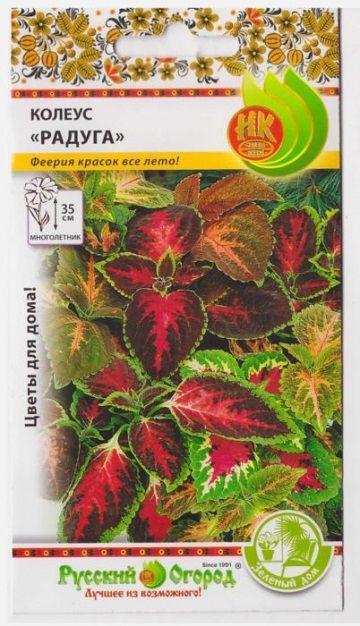 Колеус Радуга смесь (Код: 2467)