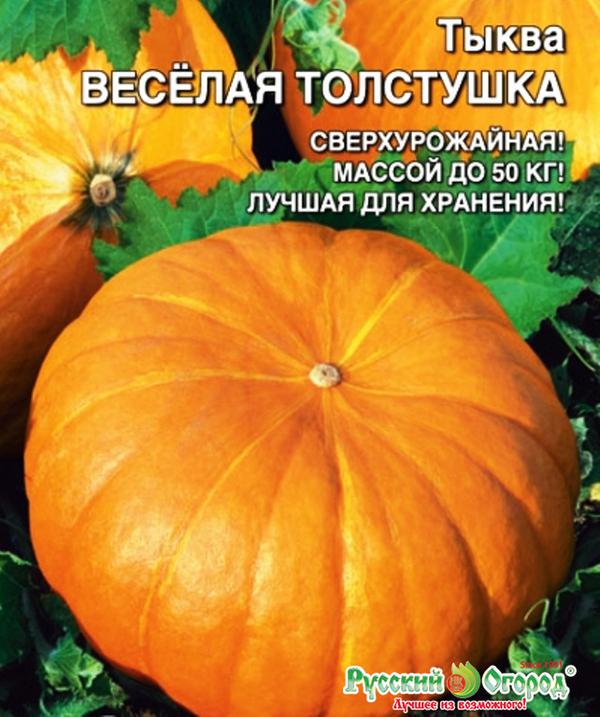 Сорт тыквы веселые ребята. Тыква сорт весёлые ребята. Тыква кустовая геракл. Тыква мускатная твердокорая. Тыква кустовая золотая.