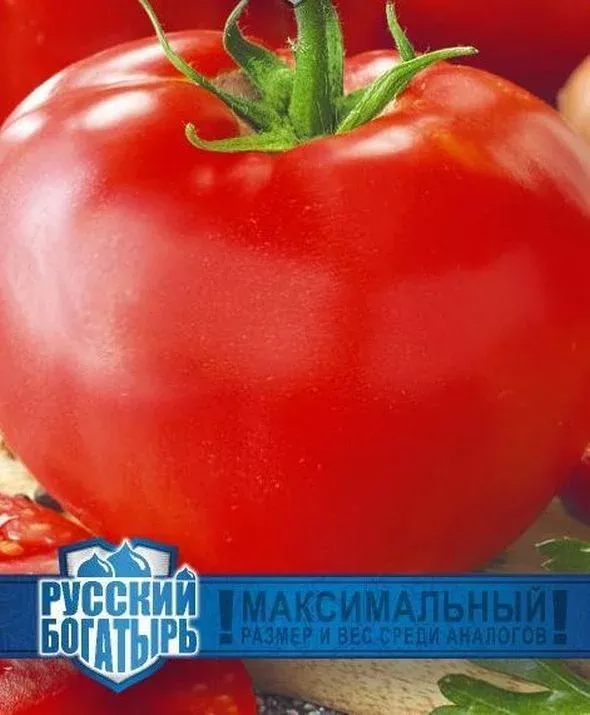 томат красный слон характеристики. томат черный слон 15шт томагрос. томаты гавриш русский богатырь. томат красный слон. томат розовый слон фото.