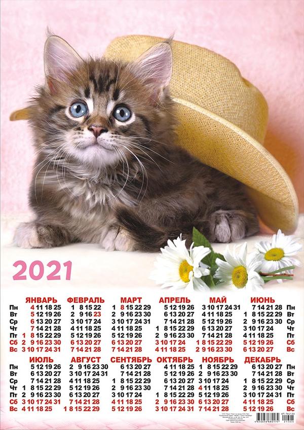 календарь с котятами 2023. календарь с кошками. календарь с котятами. год кошечки 2023. год кошечки 2023.
